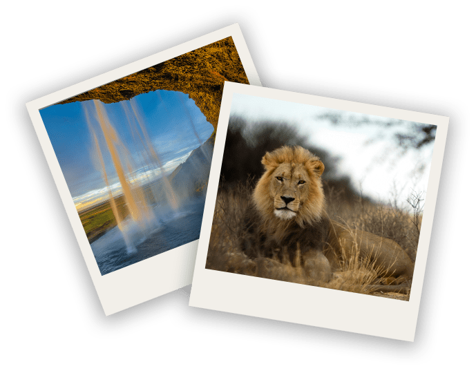 ABOUT IMAGES